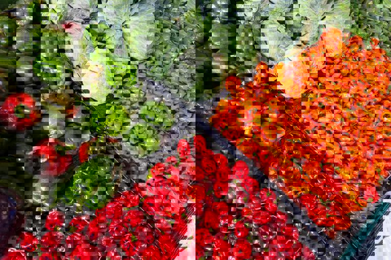 Sudden Power Blackout Ruins Food Stock for Market Vendors